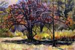 FORGOTTEN ORCHARD
